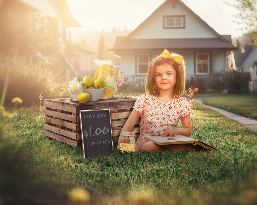Lemonade Stand