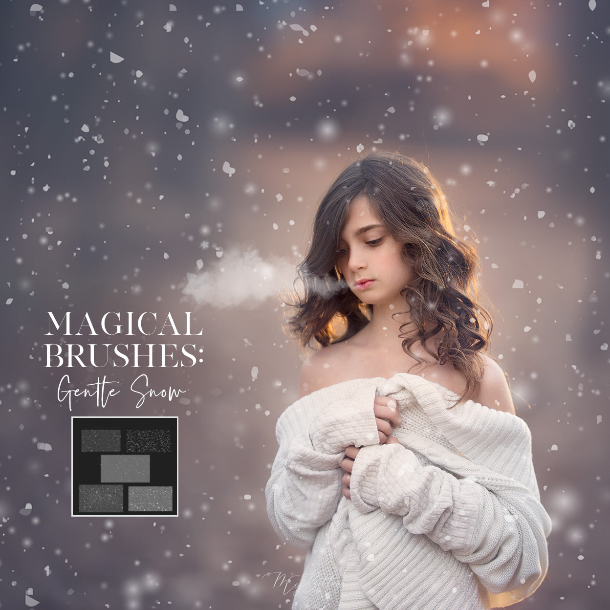 Magical Gentle Snow Brushes