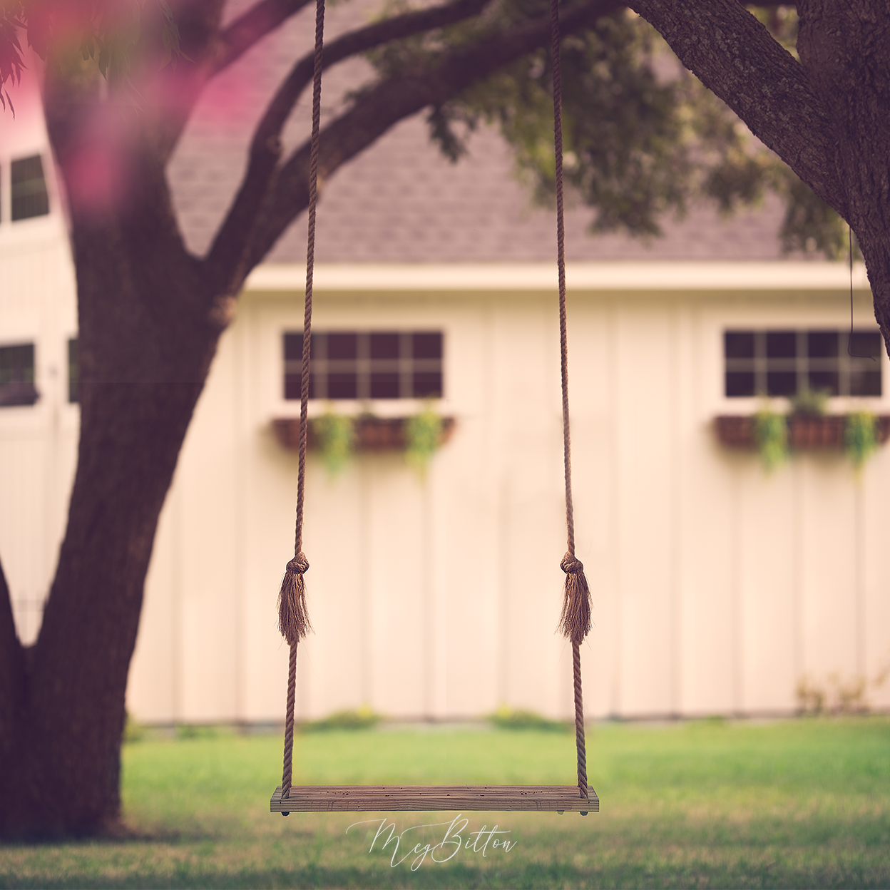 Digital Background: Barn Swing