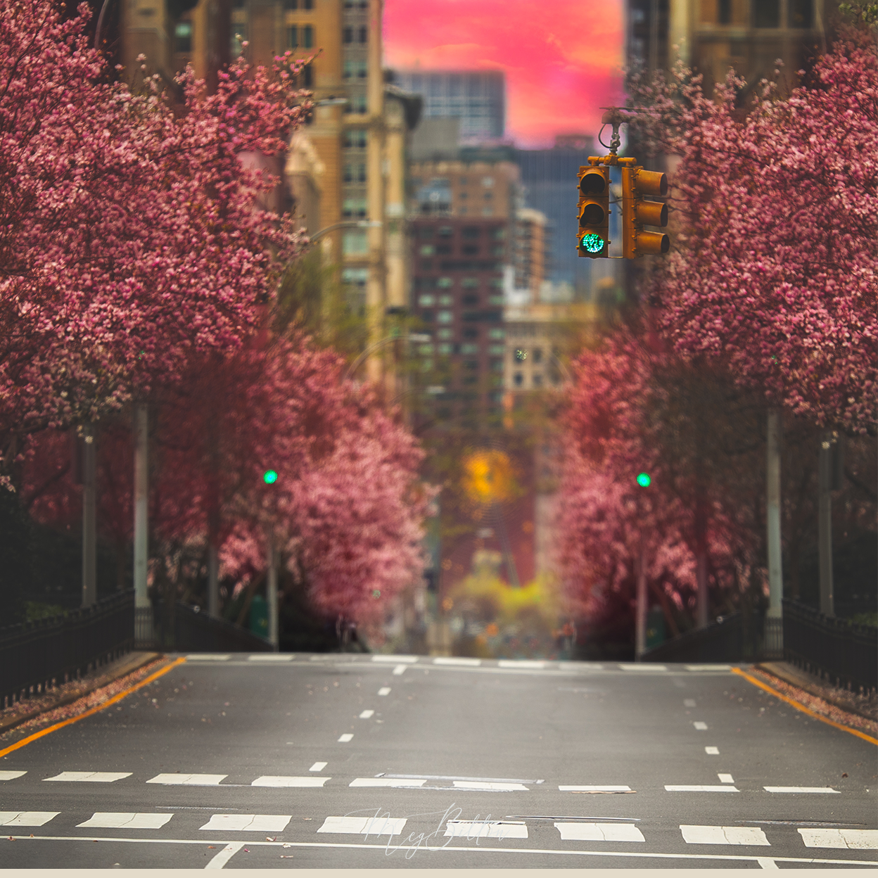 Digital Background: Park Avenue