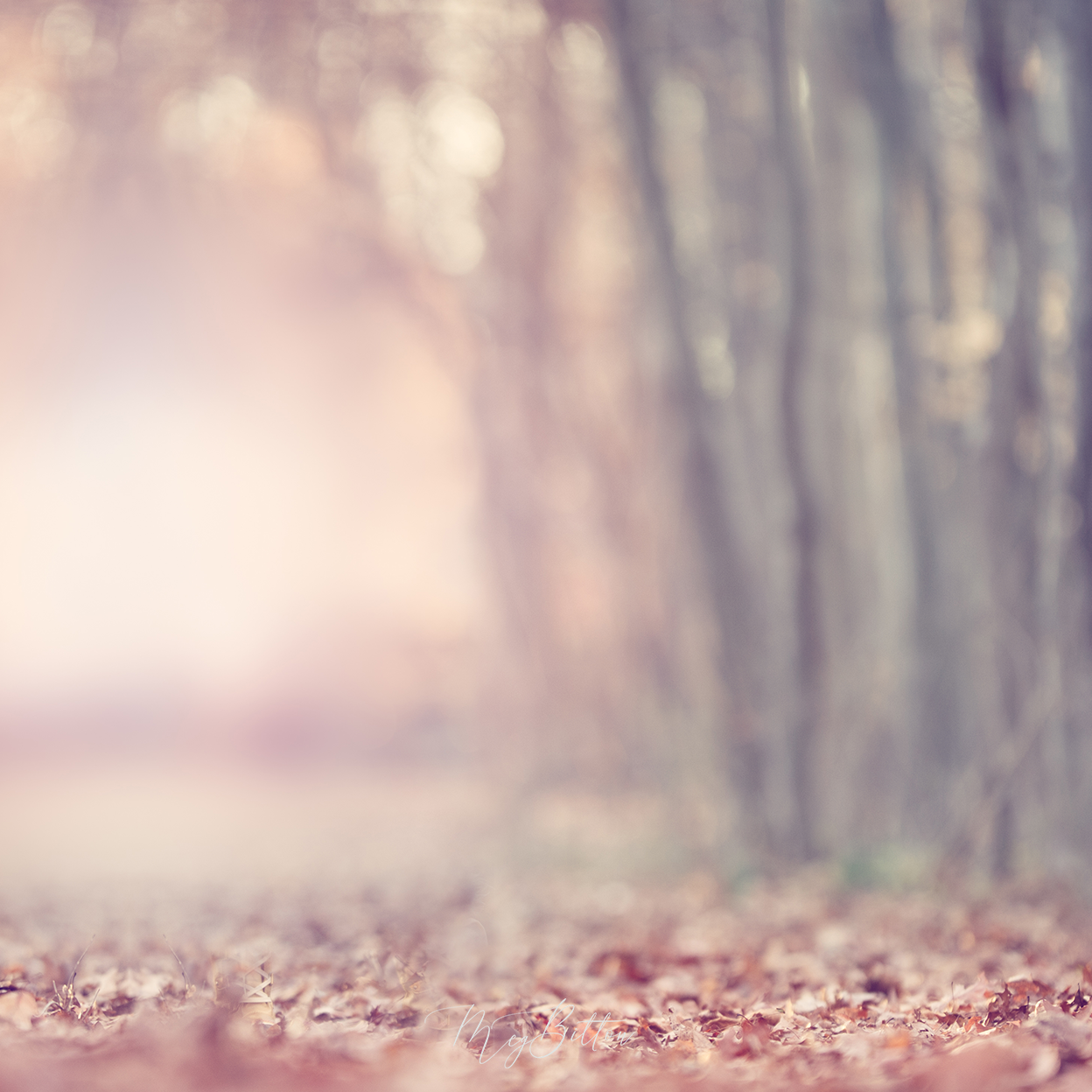 Digital Background: Pastel Winter