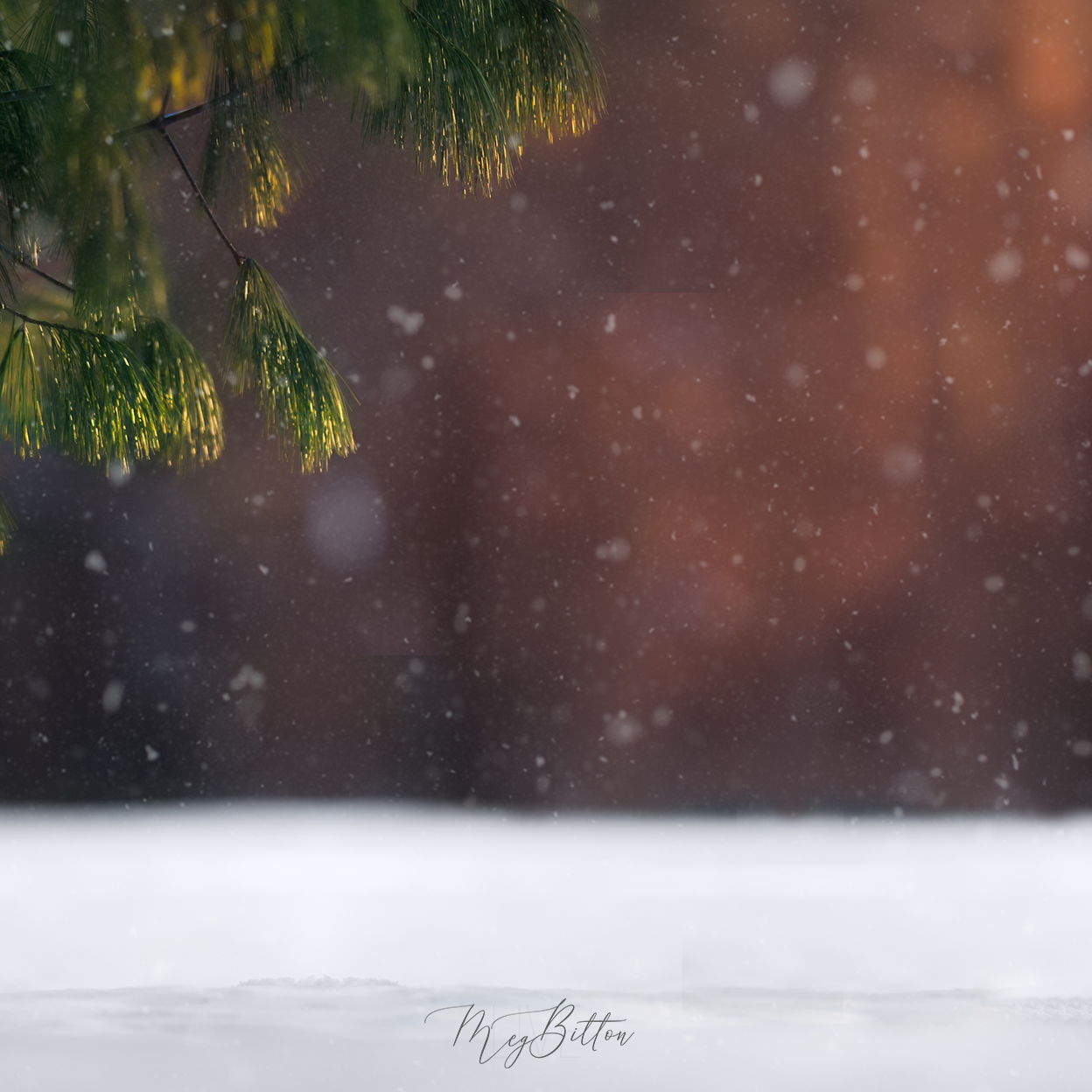 Digital Background: Snow Shower
