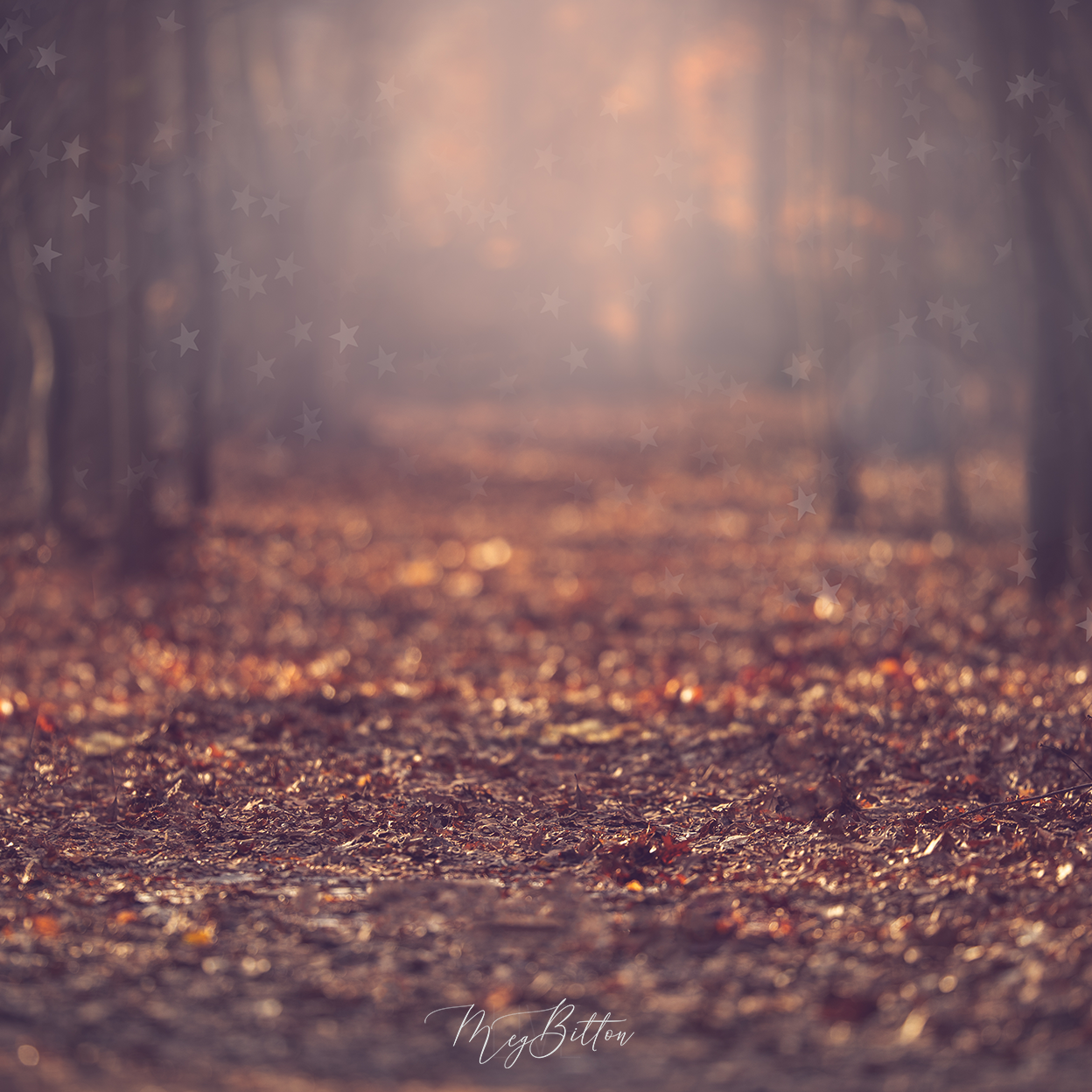Digital Background: Winter Path