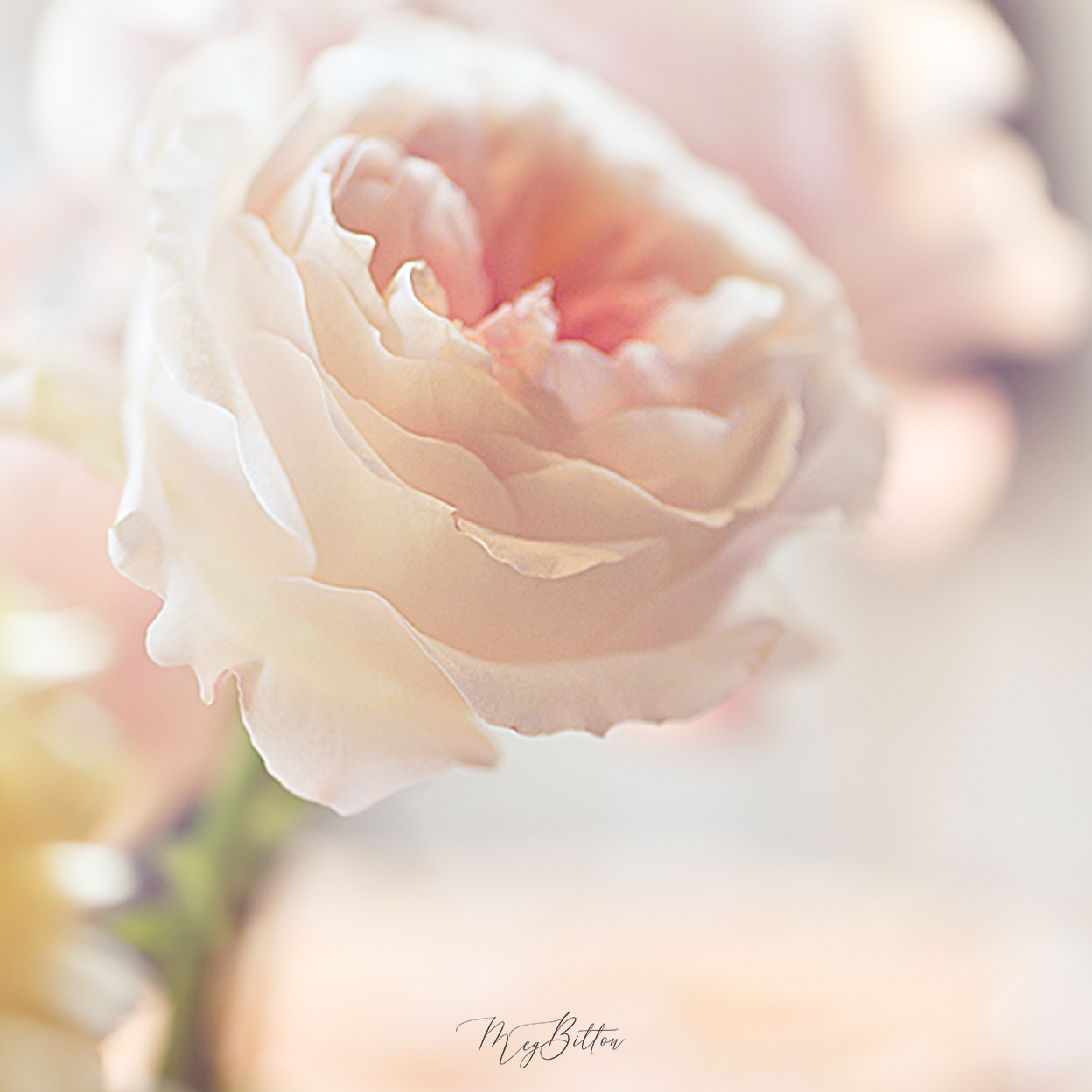 The Magic in the Details