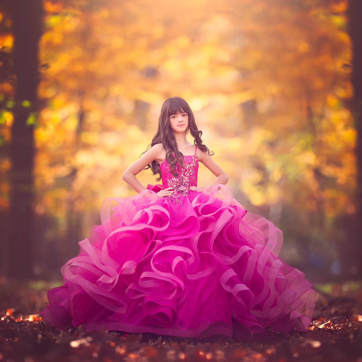 Magic in the Forest